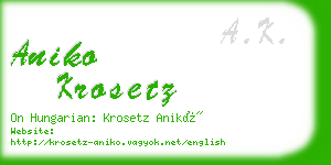 aniko krosetz business card